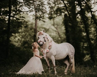 Celestia blush hellrosa Blumen gold weiß Einhorn Horn und florale Halskette Girlande für Pferd Pony Accessoire Fotografie Requisite