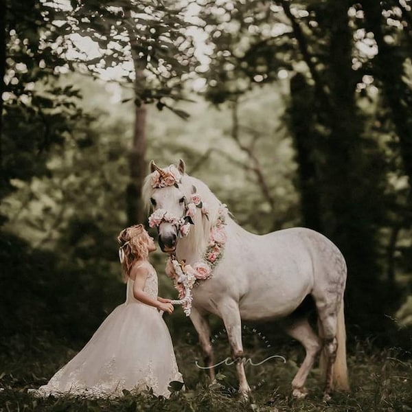 Celestia blush light pink flowers gold white unicorn horn and floral necklace garland for horse pony accessory photography prop