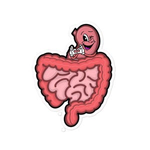 GI Tract Bubble-free stickers