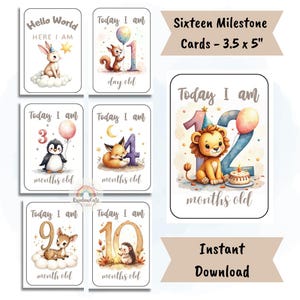 Cartes jalons imprimables pour bébés, aquarelles et imprimables, cartes pour bébé mensuelles à faire soi-même, accessoires photo souvenir neutres en matière de genre