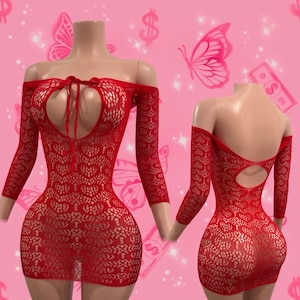 Exotic dance wear “Poppy ” Mesh dress stripper outfit