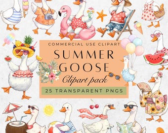 Summer Goose Clipart: Watercolor Silly Goose Clip art, Geese Png (Digital Download)
