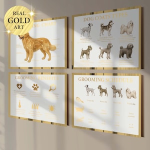 4 Pet Grooming Posters Dog Trimming Chart Dog Coats Types Grooming Schedule Pet Healthy Art Pet Beauty Art Groomer Gift Grooming Salon Decor