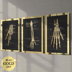 3 Hand Anatomy Art Posters Hand Bones Print Radiocarpal Joint Diagram Wrist Joint Chart Medical Art Surgical Gift Orthopedic Clinic Decor