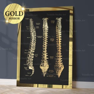 Gold Spine Anatomy Art Chiropractic Diagram Spinal Health Art Medical Art Spine Care Art Chiropractor Gift Orthopedic Clinic Decor