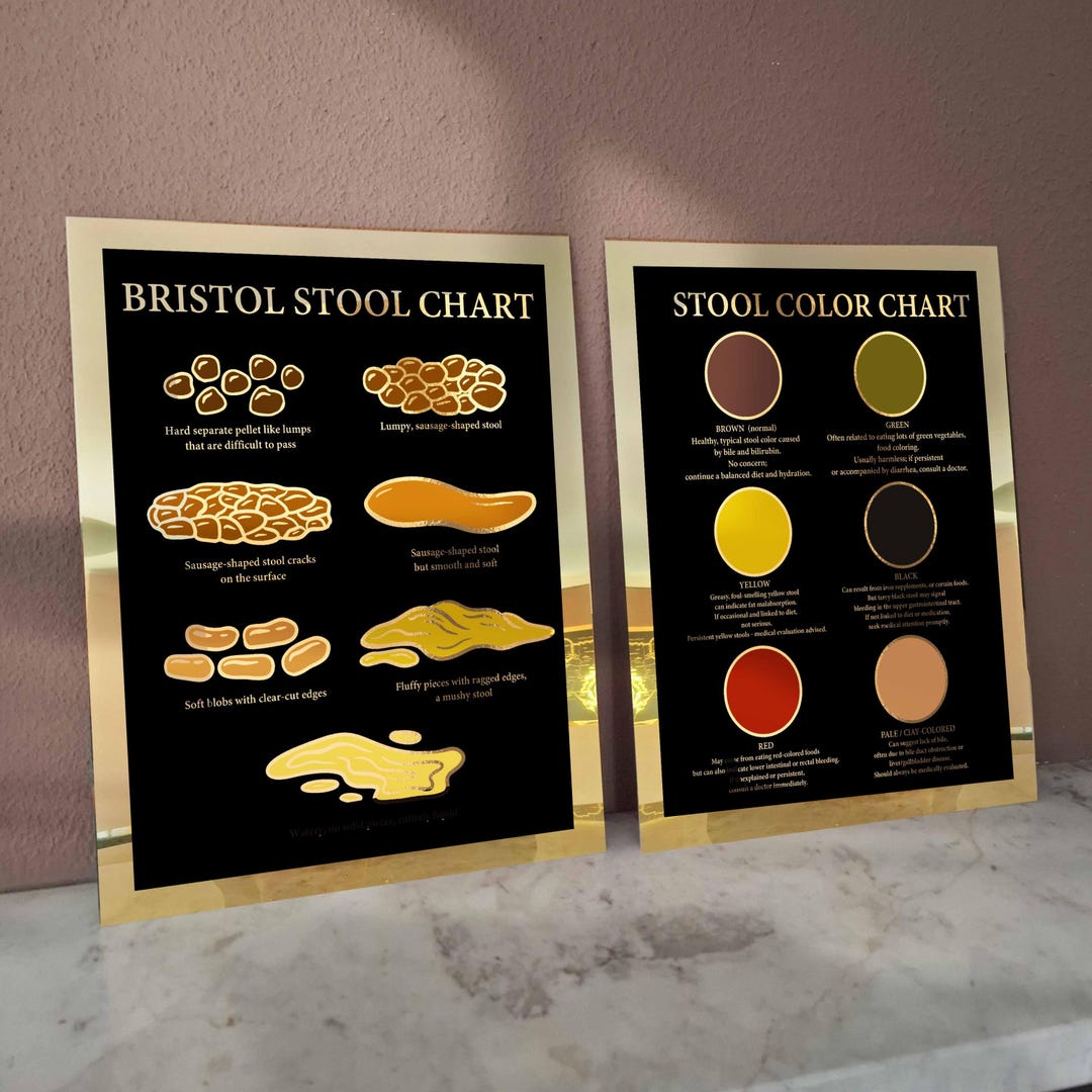 2 Bristol Stool Chart Poop Color Poster Digestive Health Medical Art ...