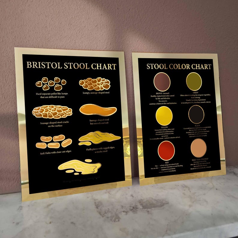 2 Bristol Stool Chart Poop Color Poster Digestive Health Medical Art ...