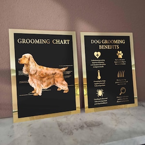 May include: Two framed posters with gold borders. The left poster is a grooming chart with a Cocker Spaniel illustration. The right poster lists dog grooming benefits, including improved circulation and flea checks.