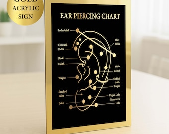 Ohr-Piercing Zeichen Piercer Geschenk Piercing Typen Tabelle Piercing-Referenzführer Piercing Salon-Wand-Dekor Schönheitsbehandlung Acryl Schreibtisch Zeichen