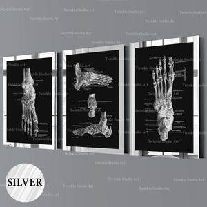 Set 3 Foot Bones Posters Foot Diagram Orthopedic Art Skeletal Bones Print Medical Art Scientific Art Orthopedic Surgeon Gift Clinic Decor