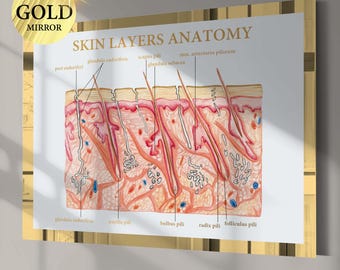 Human Skin Anatomy Poster Skin Layers Diagram Dermatology Art Histology Art Medical Art Physiology Art Cosmetic Clinic Decor Dermatologist