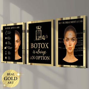 May include: Three framed art pieces with gold borders. The left panel says "BOTOX AFTERCARE" with aftercare instructions and a woman's face. The center panel reads "BOTOX is always AN OPTION" with a syringe illustration. The right panel shows "BOTOX TREATMENT AREAS".