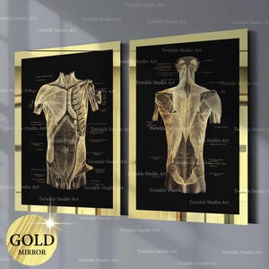 2 menselijk spierstelsel anatomie posters spierstelsel grafiek medische kunst fysiologie kunst massage kliniek decor chirurg cadeau arts afstuderen