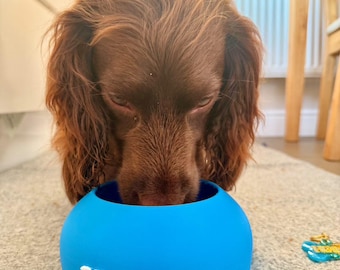 No more wet ears. Colour dog bowl. Labrabowl. Personalised dog bowl. Pet food bowl. Custom name. Long ear bowl. Spaniel bowl.