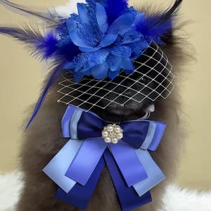 Pode incluir: Um animal de estimação usando um chapéu floral azul com penas e um véu. Um grande laço com um enfeite de pérolas está em volta do pescoço do animal de estimação. O chapéu e o laço são em tons de azul.