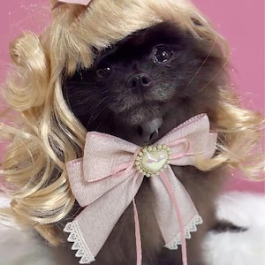 Pet Gold Barbie Wig with Pink Bow: Cat & Dog Costume