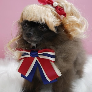 Pet golden wig for dog or cat / American sweetheart bow / Cat costume /Pet costume /Dog costume/Luxury gift boxing included