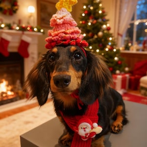 May include: A Dachshund dog, black and tan, wearing a Christmas tree hat and a red scarf with a Santa Claus ornament. The dog is sitting on a grey surface, with a decorated Christmas tree in the background.
