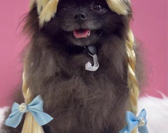 Golden Double Braids Pet Wig/ Wig for dogs and cats/Luxury gift boxing included