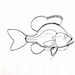 see more listings in the Fish Wall Sculptures section