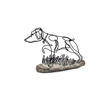 German Short-haired Pointer Wire Sculpture, Continuous Line Art, Driftwood Base