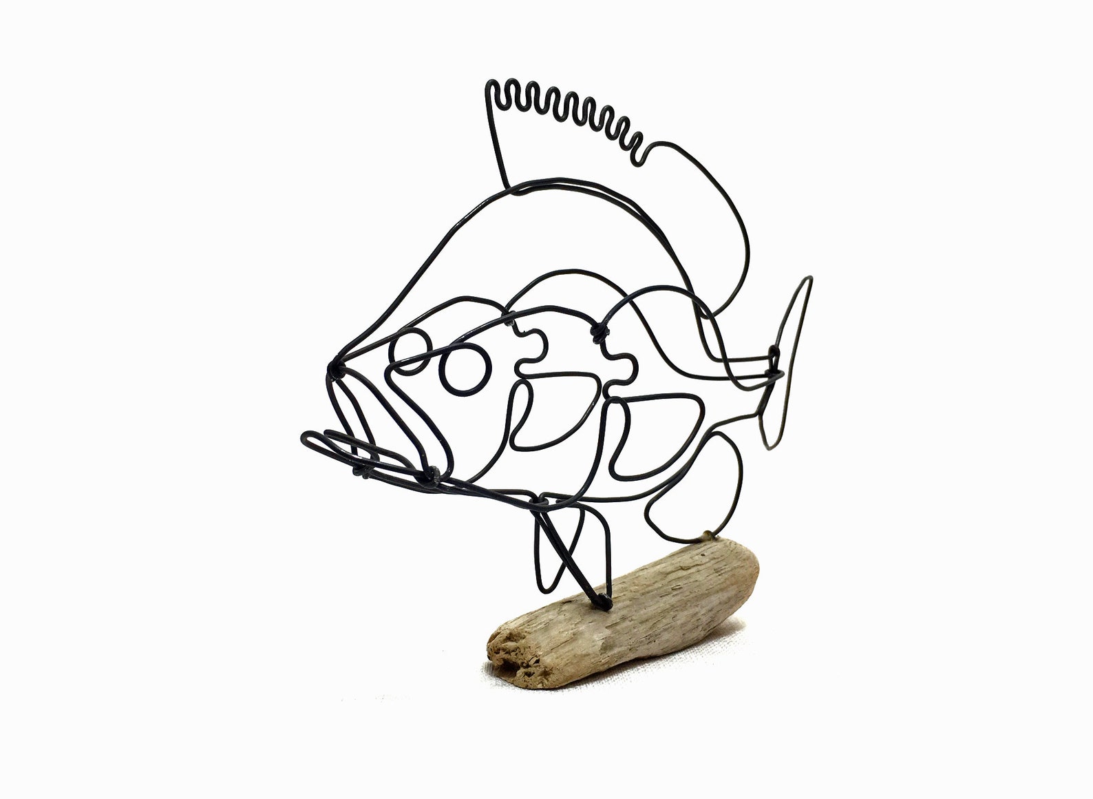 Sunfish Wire Sculpture Fish Wire Art Fish Art attached to a Etsy