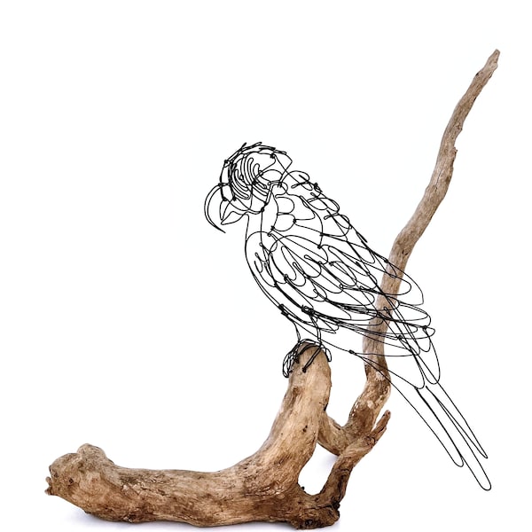 Macaw Wire Sculpture, Minimalist Parrot Art, One Continuous Line Sculpture, Unique Piece of Art, Handmade by Bud!