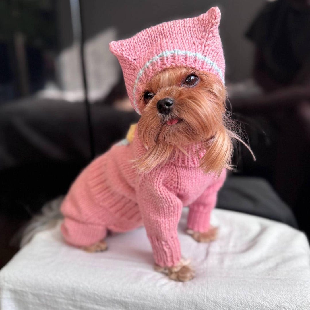 Chocolate Embroidered Dog Knit Two Piece Set for Spring Elegant Style Unisex Dog Outfit