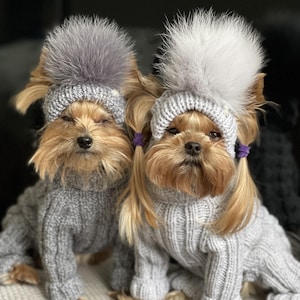 Dog pom pom hat, Hat for dogs, Hat for dogs with open ears, caps dog for Yorkie and chihuahua