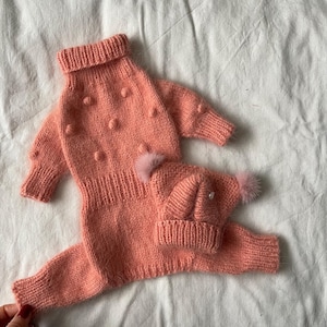 The dog costume consists of a jumpsuit and a cap. Knitted jumpsuit for dogs, knitted suit for small dogs, hat with closed ears
