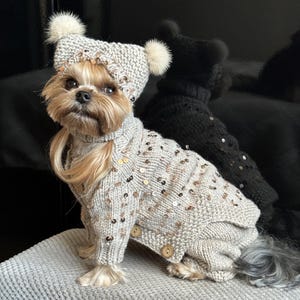Custom handmade knitted small dog costume with suspender pants and buttoned cardigan.