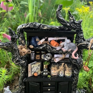 Handmade Dollhouse Witch's Apothecary Cabinet, 1:12, Artisan Made, Haunted image 3