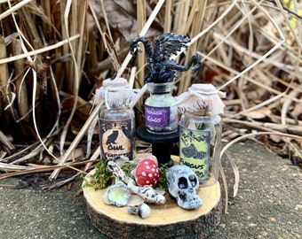 Handmade Miniature Dollhouse Apothecary Set, Wizard, Witch, Artisan Crafted, 1:12, Dragon, Mushrooms, Skull. Haunted