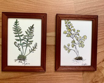 Dollhouse Botanical Paintings, 1:12, Artist A. Eyster, Fougères, Cadres en bois, OOAK