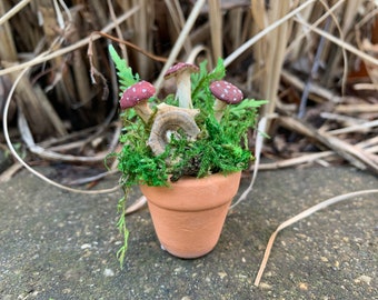 Pot de champignon de maison de poupée, plante, artisanat fabriqué à l'échelle 1:12