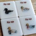 see more listings in the Coasters - Printed section