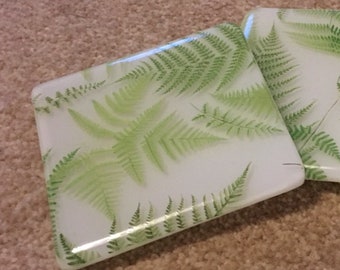 Printed Green Fern Coaster