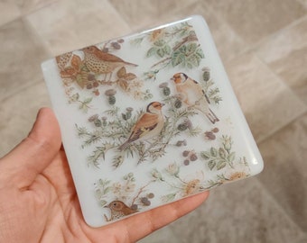 Single Garden Birds and Brambles Glass Coaster. Limited Quantity, White Background, Cute Gift, Thistle, Blackberries, England Countryside