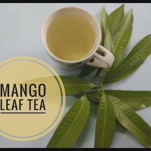 Bulk Organic Mango Leaves | 100% Natural Herbal Tea | Freshly Picked, Air-Dehydrated