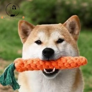 Cartoon Carrot Dog Chew Toy Bite-Proof Cotton Rope for Teeth Cleaning Fun Pet Toy for Outdoor Training Play Fetch and Exercise gift for him