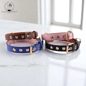 Luxury Pet Collar with Rhinestones and Gold Accent Adjustable Dog and Cat Accessory Stylish Pet Necklace Elegant Pet Jewelry for Dogs Cats