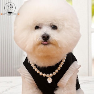 Luxury Pet Collar with Rhinestones and Gold Accent Adjustable Dog and Cat Accessory Stylish Pet Necklace Elegant Pet Jewelry for Dogs Cats