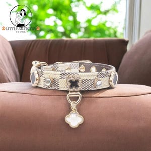 Luxury Pet Collar with Rhinestones and Gold Accent Adjustable Dog and Cat Accessory Stylish Pet Necklace Elegant Pet Jewelry for Dogs Cats