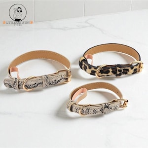 Luxury Pet Collar with Rhinestones and Gold Accent Adjustable Dog and Cat Accessory Stylish Pet Necklace Elegant Pet Jewelry for Dogs Cats