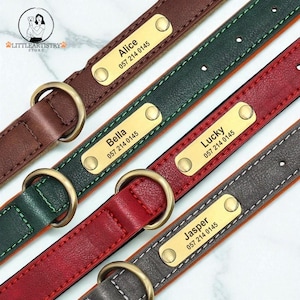 Luxury Pet Collar with Rhinestones and Gold Accent Adjustable Dog and Cat Accessory Stylish Pet Necklace Elegant Pet Jewelry for Dogs Cats
