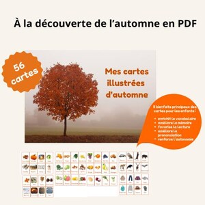 À la découverte de l'automne - Carte de vocabulaire illustrées en PDF