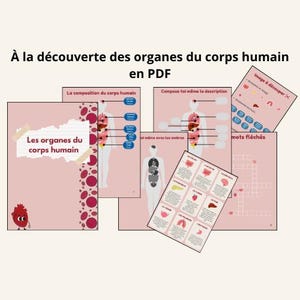 Learn the organs of the human body in PDF