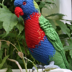 Amigurumi Rainbow Lorikeet crochet pattern, PDF English, Deutsch, Nederlands image 4