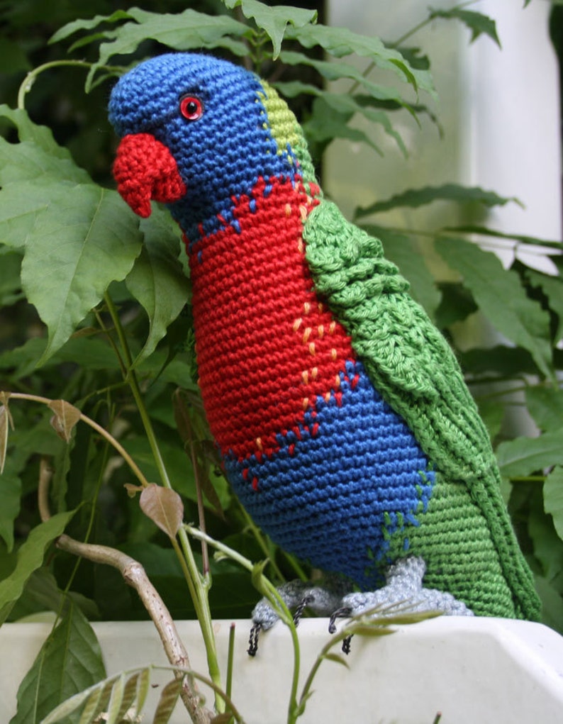 Amigurumi Rainbow Lorikeet crochet pattern, PDF English, Deutsch, Nederlands image 4