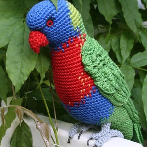 Amigurumi Rainbow Lorikeet crochet pattern, PDF English, Deutsch, Nederlands image 6